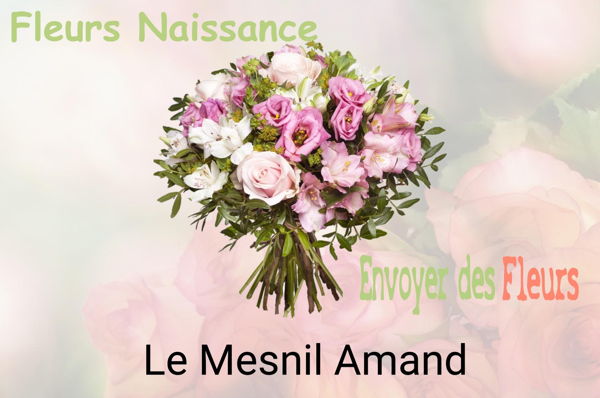 Bouquet de fleurs de naissance livré à Le Mesnil-Amand